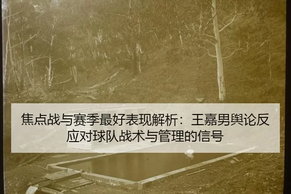 焦点战与赛季最好表现解析：王嘉男舆论反应对球队战术与管理的信号